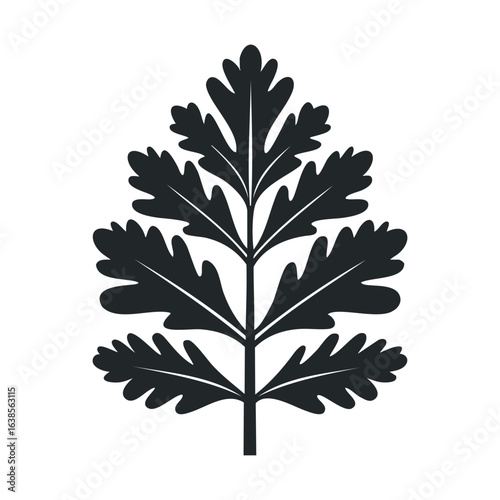 Silhouette of a parsley leaf with detailed edges on white background