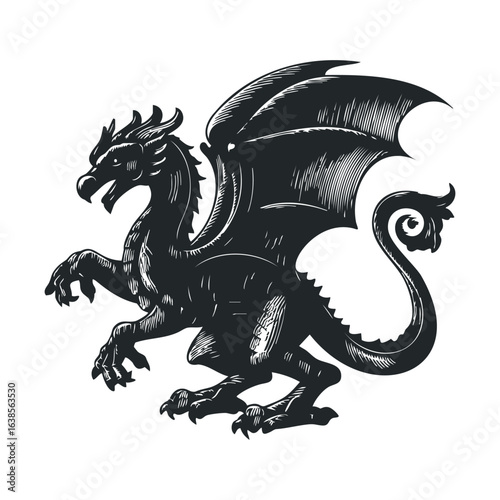 Vintage dragon illustration with detailed wings and tail in black and white