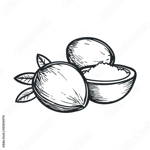 Hand-drawn shea nuts illustration with leaves and bowl of butter