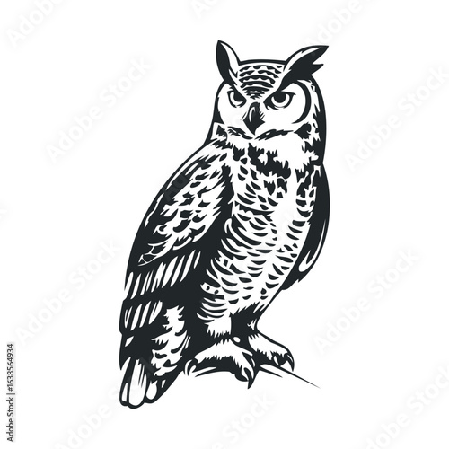 Intricate monochrome drawing of a great horned owl perched on branch