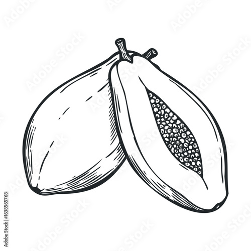 Detailed black and white drawing of halved papaya with seeds