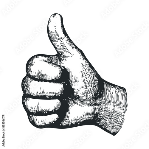 Detailed vintage hand-drawn thumbs up gesture illustration in black and white
