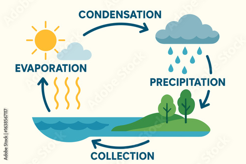 Water Cycle Diagram for Classroom Education