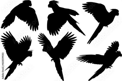 "Flat vector silhouettes of multiple parrot and cockatoo species, black outlines only, positioned in flight and perching, evenly distributed on a white canvas."