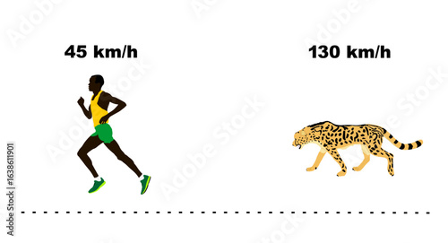 Speed comparation between fastest man sport runner in run and cheetah fastest animal on earth.  Sprinter VS wild cat predator carnivore from Africa wildlife. Safari attraction comparison fast sprint.
