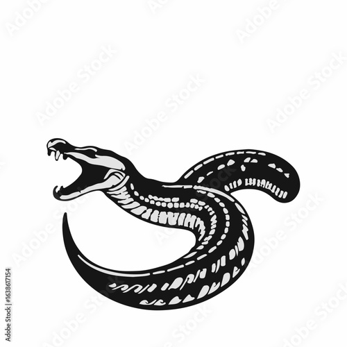 Bolivian Anaconda Image