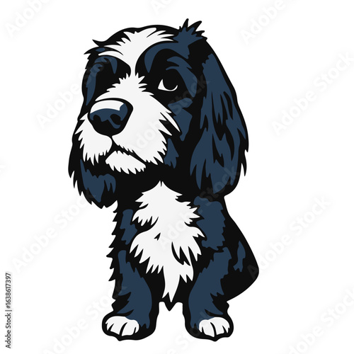 Blue Picardy Spaniel Image