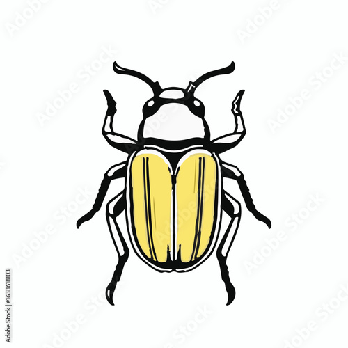 Biscuit Beetle Animal Icon