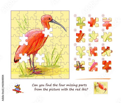 Can you find the four missing parts from the picture with the red ibis? Logic puzzle game for children and adults. Page for kids brain teaser book. Developing spatial thinking. Flat hand drawn vector