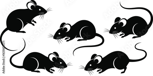 Black mouse silhouette collection, set of 5 rat vector icons, minimalist rodent shapes for pest control and wildlife graphics, EPS format
