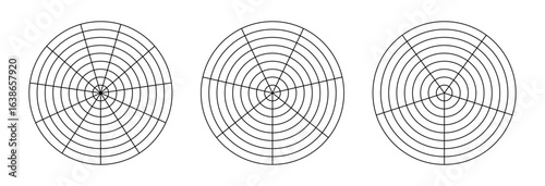 Polar grid with segments, concentric circles. Wheel of life. Coaching tool simple for visualizing all areas of life. Circle diagram of life style balance. Black blank of graph paper.