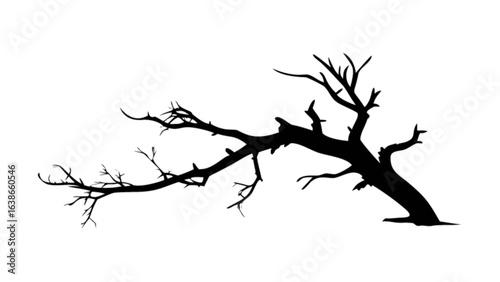 Silhouette of a bare tree branch vector illustration for halloween and autumn season design elements and templates