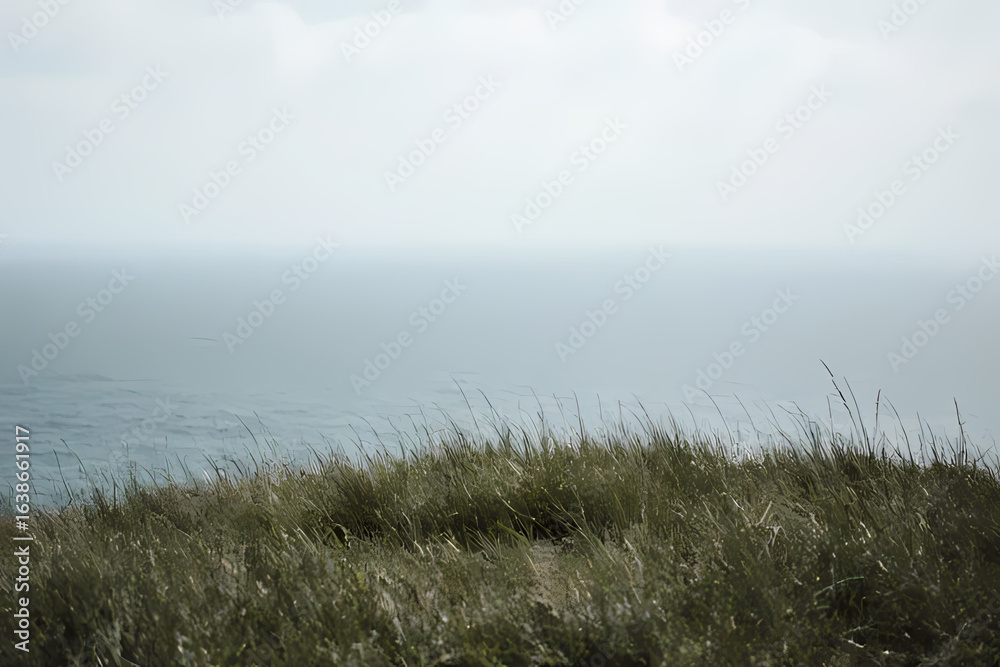 A grassy hilltop panorama overlooking a distant ocean horizon A grassy hilltop panorama overlooking a distant ocean horizon
