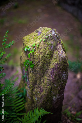 The Aff River’s, Forest of Broceliande, France