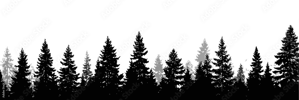 Fototapeta premium Forest edge, black silhouettes of the forest line. Trees, overlay frame