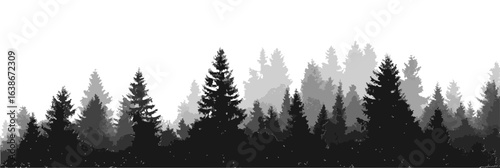 Forest edge, black silhouettes of the forest line. Trees, overlay frame