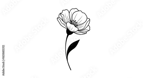 Elegant black line art illustration of a single blooming flower with a slender stem and one leaf, isolated on a white background.
