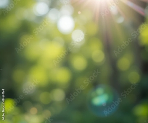 Bokeh background nature summer light blue 
