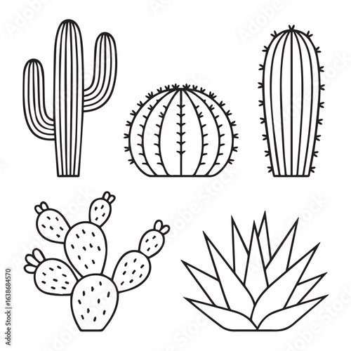 clean cactus lines arts minimal outline desert plants saguaro barrel round cactus prickly pear opuntia rosette succulent