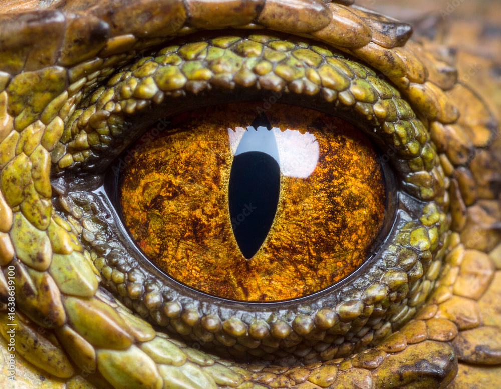 Fototapeta premium Intense amber eye of a reptile with textured scales and a vertical pupil, macro shot