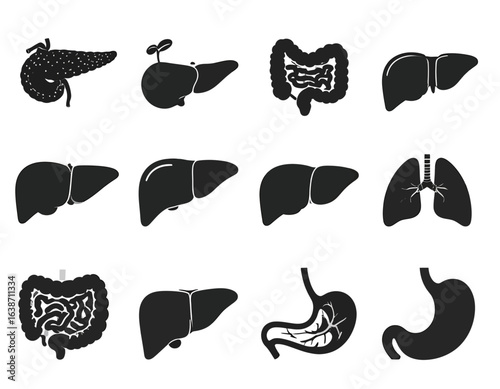 Silhouette illustrations of various human organs, including liver, pancreas, intestines, stomach, and lungs.