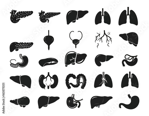 Collection of black silhouette icons depicting various human internal organs, including liver, lungs, pancreas, stomach, and bladder.