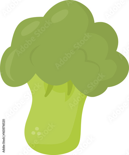 Green broccoli vector illustration, nutritious vegetable ideal for healthy meals, salads, and vegetarian recipes.