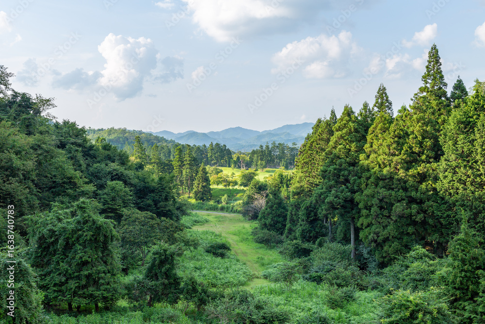 Fototapeta premium 豊かな自然の風景