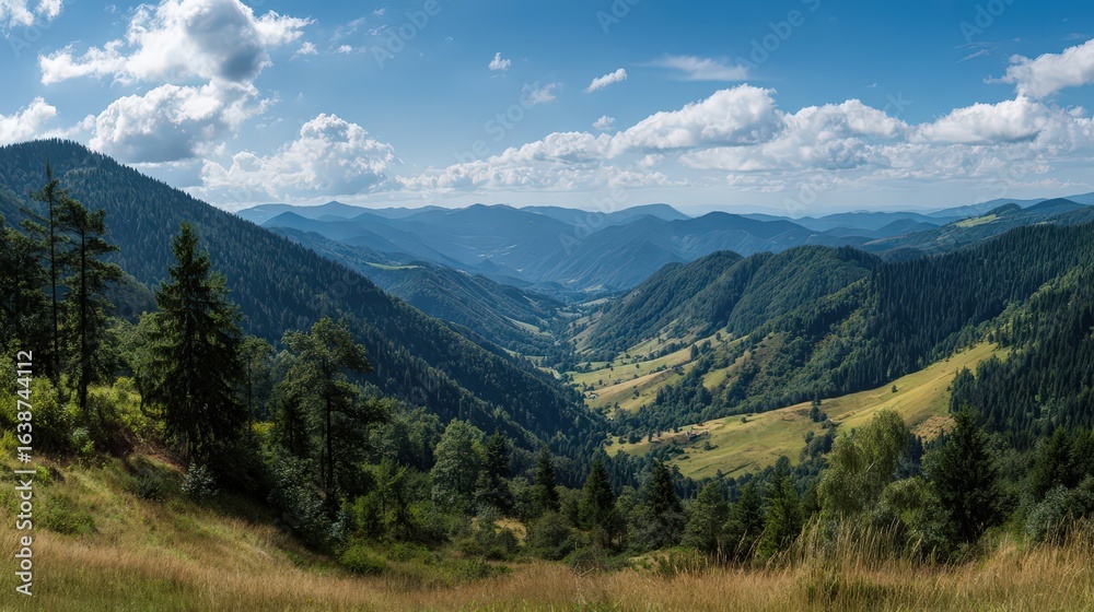 Obraz premium Panoramic Mountain Valley View With Forest