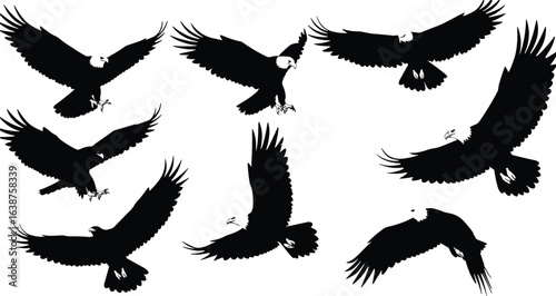 Bald eagle silhouette flying set, powerful raptor vector, bird of prey in motion, black eagle icon, wildlife and freedom symbol