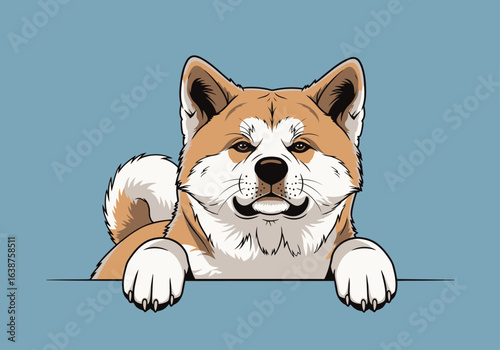 A cute illustration of an Akita dog peeking over a border.