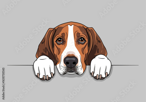 A cute cartoon beagle dog with brown and white fur peeking over a grey surface, looking directly at the viewer.