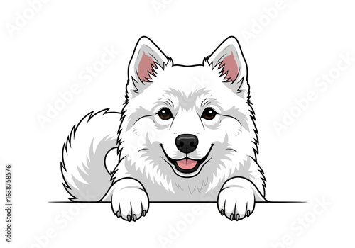 A cute white fluffy dog with paws resting on a border, smiling happily.