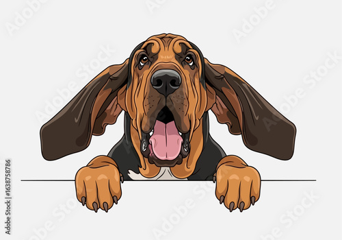 A cartoon illustration of a Bloodhound dog looking surprised and peering over a white surface.