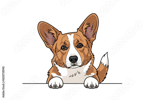 Cartoon illustration of a cute Pembroke Welsh Corgi dog with brown and white fur, peering over a ledge.
