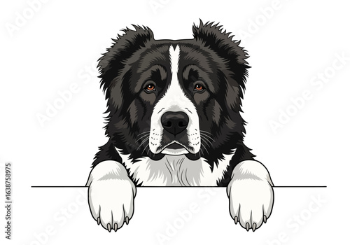 A detailed digital illustration of a large, fluffy, black and white dog with a serious expression.