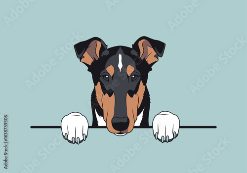 Illustration of a smooth collie dog's head looking over a ledge, with paws visible.