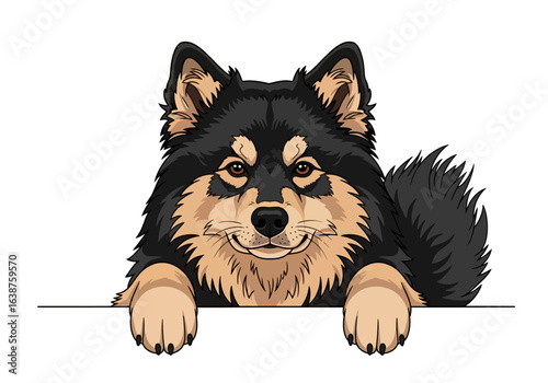 Cartoon illustration of a black and tan Finnish Spitz dog looking out from behind a white banner.