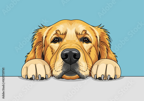 A golden retriever dog with paws on a border, looking directly at the viewer.