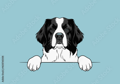 Illustration of a black and white dog with its paws resting on a ledge, against a light blue background.