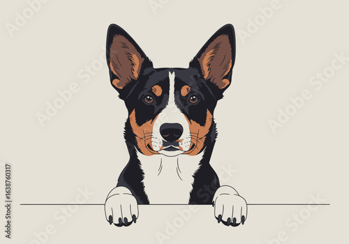 Illustration of a tri-color dog with pointy ears peering over a white ledge, featuring black, brown, and white fur.
