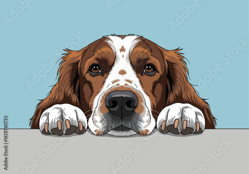 Engaging illustration of a reddish-white dog's head and paws, peering over a surface.