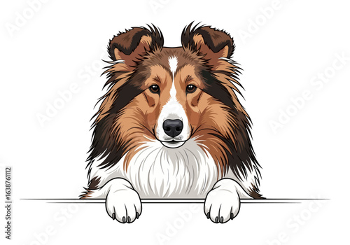 A charming Shetland Sheepdog peers over a blank sign, paws resting on the edge.