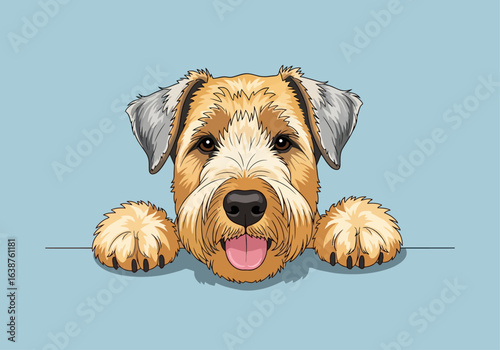 A cute terrier dog with brown and tan fur, sticking its head and paws over a blue ledge, tongue out, looking forward.
