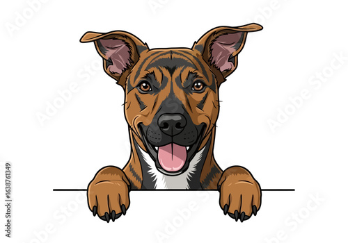 Happy brindle dog peeking over a white banner, cheerful expression, paws visible.