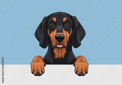 Black and tan dog illustration, head and paws peeking over a white border against a light blue background.
