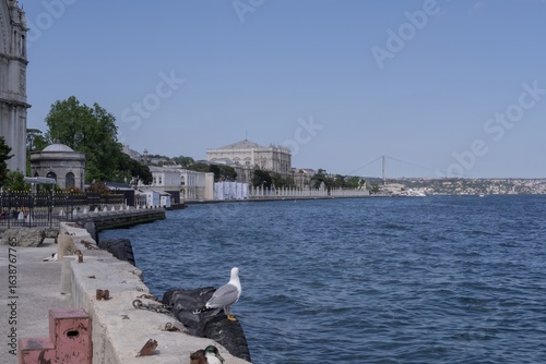 Tableau sur toile Dolmabahçe Palace waterfront view in Istanbul, Turkey, with Bosphorus Strait and cityscape in the distance