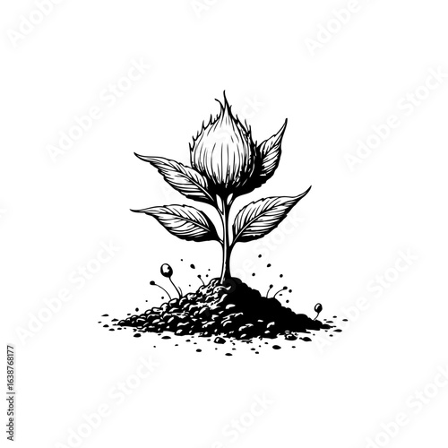 Monochrome illustration of a young plant seedling sprouting from fertile soil