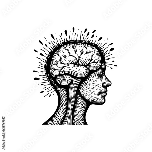Engraved illustration showcasing the human brain and head in black and white