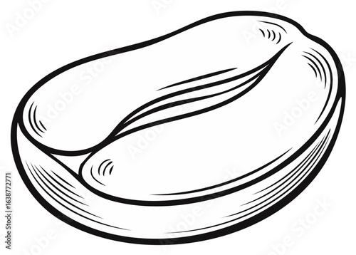 Coffee bean illustration in black and white, isolated, line art style